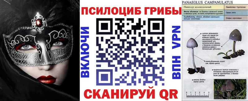 МЕГА маркетплейс  Емва  Галлюциногенные грибы мицелий 